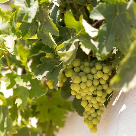 Porto Rondo * Agios Prokopios (Naxos)